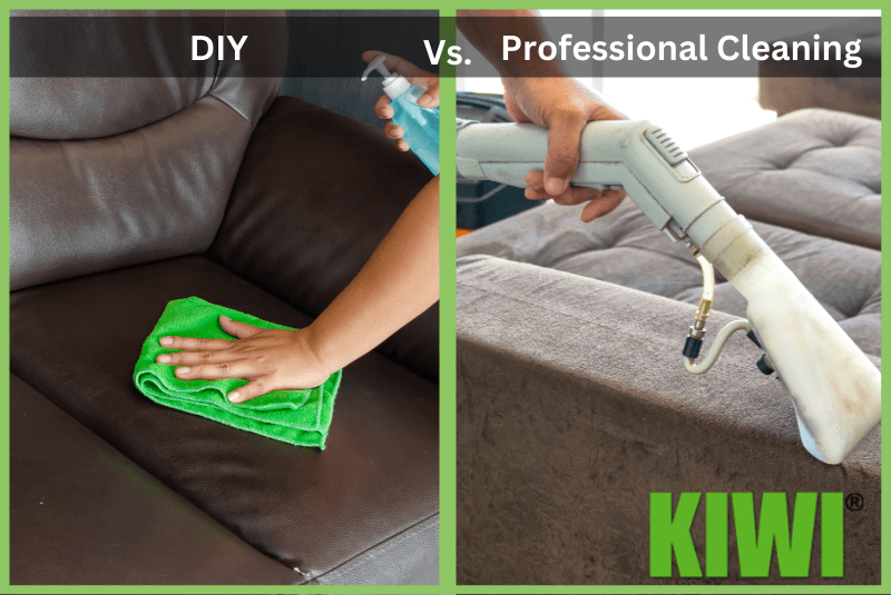 DIY Professional Cleaning